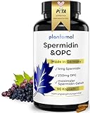 90 Spermidin Kapseln hochdosiert mit 6mg Spermidin + 250mg OPC Traubenkern-Extrakt hochdosiert je Kapsel - einzigartige Kombination aus Spermidine Kapseln hochdosiert & OPC Kapseln hochdosiert - vegan