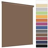 Klemmfix Kettenzugrollo Seitenzugrollo Klemmrollo Rollo viele Größen und Farben Stoff Blickdicht lichtdurchlässig Montage ohne zu Bohren Klemmträger Klemmhalter (Größe 100 x 230 cm, Farbe Mocca)