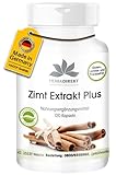 Zimt Extrakt Plus - mit 200μg Chrom und 10mg Zink pro Kapsel - 120 Kapseln - Hochkonzentriert | HERBADIREKT by Warnke Vitalstoffe - Deutsche Apothekenqualität