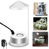 Ultraschall Vernebler, Mini Nebelmaschine Nebler Fogger Metall Zerstäuber 24V Nebelhersteller mit Spritzwassergeschütztem Zubehör für Teich,Aquarium,Garten,Halloween Pumpkin und Hexentopf,EU-Stecker