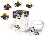 Creano Erblüh-Teelini schwarztee Geschenk-Set 'schwarzer Tee' 8 ErblühTeelini fein aromatisiert, 1 Teelini Glas-Teetasse 200 ml mit Deckel, der erste ErblühTee in Tassenformat