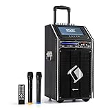 auna DisGo Box 100 DVD Mobile PA Soundanlage - Bluetooth Lautsprecher mit 300 Watt Leistung, PA Anlage mit 9' TFT-Display, DVD, verlängerter Trolley-Griff, 2 x UHF-Funkmikrofon, schwarz