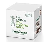 Floragard Bio Hochbeet-Erde in der Box 60 Liter