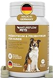 Probiotika Hund ideal mit Präbiotika - Qualität Made in Germany - Darmsanierung Hund durch Probiotika für Hunde - Beim Hund Darmflora aufbauen mit Natureflow Pets - 120 Tabletten