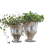 Loberon Übertopf Set Banon - Blumentopf Aus Terrakotta - Ideal Für Zimmerpflanzen & Kräuter - Ideal Für Balkon & Wohnzimmer - 2 Stück