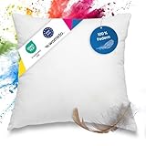 wometo Federkissen 100% Federn 80x80-1200g Oeko-TEX Sofakissen Füllkissen Bezug Baumwolle weiß/Innenkissen/Kissenfüllung/Kopfkissen