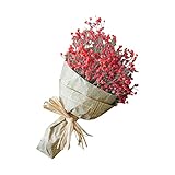 Natürliche Trockenblumen Home Decor Natürliche Trockenblumen voller Sterne Gypsophila Kunstblume Schwarz (E, One Size)