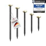 RIKAMA® – 50 Bildernägel im Mix aus je 10 x 20mm, 25mm, 30mm, 40mm, 50mm – Stahlnägel für den Einsatz auf Beton, Ziegelstein, Putz & Holz – Made in Italien (Goldener Kopf)