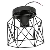 DIYEAH 1Stück Deckenleuchte Eisen Deckenlampe Für Gang Design Vielseitig Einsetzbar Für Wohnzimmer Büro Hochwertige Verarbeitung