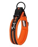 PETTOM Hundehalsband Verstellbare Nylon Hunde Halsband Atmungsaktives Reflektierend Halsband (Orange XS)