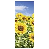 Motiv Banner Sonnenblumen 75 x 180 cm schwer entflammbar Landschaft Bilder Wandbild Herbstbild Herbst Poster Displaybanner Banner Textil Poster Textilbild Schaufenster Textilbanner Stoffbanner