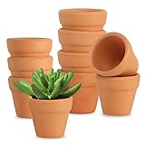 AOROPS Mini Terrakotta Tontöpfe, 10 Stücke Kleine Terrakotta Töpfe 3cm Terrakotta Sukkulenten Töpfe, Mini Tontöpfe Anzuchttöpfe Mini-Blumentopf für Drinnen und Draußen Dekorieren