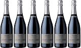 Pietro Torti Pietro Torti Metodo classico Pinot Nero DOCG 2020 Brut nature (naturherb) (6 x 0.75 l)