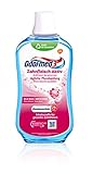 Odol-med3 Mundspülung Zahnfleisch Aktiv, alkoholfreie Mundspülung, 500ml