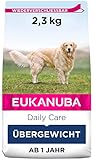 Eukanuba Daily Care Overweight / Sterilised Trockenfutter – Fettarmes Spezialfutter für übergewichtige oder kastrierte Hunde, 2,3 kg