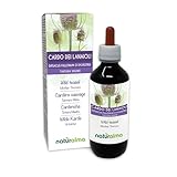 Wilde Karde (Dipsacus fullonum oder D. sylvestris) Wurzeln Alkoholfreier Urtinktur Naturalma - Flüssig-Extrakt Tropfen 200 ml - Nahrungsergänzungsmittel - Veganer