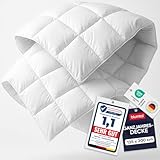 Blumtal Ganzjahresdecke 135x200 cm - Oeko-TEX zertifizierte Bettdecke Ganzjahr - Alljahresdecke 135x200 cm - Steppbettdecke waschbar 95 °C - Füllmegne 300 GSM - mit Eckhalterung