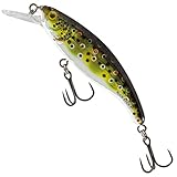 Salmo Slick Stick 6cm 3g - Wobbler, Salmo Farben:Holographic Brownie