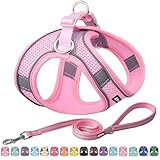 AIITLE Kleines Geschirr mit Leine - Hundewestengeschirr mit super atmungsaktivem Mesh, reflektierendes Welpengeschirr für Spaziergänge im Freien für kleine Hunde, Katzen Reines Rosa XXS
