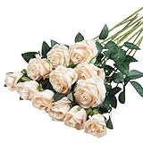PacuM 12 Stück Künstliche Rosen Seidenblumen Fake Rose 51 * 7cm Einzelne Langstielige Künstliche Rosen Realistische Kunstrosen für Brautstrauß Heiratsantrag Party Haus Garten Dekor (Sekt)