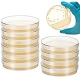 Cabilock 10 Stück Nähragarplatten – Vorgegossene Weiße Agarplatten für Agar-Kultur | STEM-Wissenschaftsexperimente | Transparente Petrischalen mit Agar