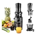 GASTROBACK 40146 Slow Juicer Vita Fresh der beste Slow Juicer für Cold Press Saft