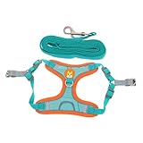 HOUDERCO 1 Satz Hundegeschirr Reflektierendes Brustgeschirr für Kleine mit Verstellbarer Hundeleine Robust und Langlebig für Outdoor Aktivitäten und Sicheres Führen