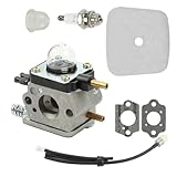 Vergaser-Kit for Mantis 7222 7225 Bodenfräse oder Grubber mit SV-5C/2-Motoren