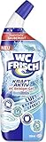 WC FRISCH WC Reiniger Gel Ozeanfrische (750 ml), WC Reiniger mit Lufterfrischer-Effekt, Toilettenreiniger sorgt für hygienische Frische, mit 4-fach Aktivstoff-Kombination