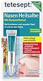 tetesept Nasen Heilsalbe – Nasenpflege Creme bei Erkältung - befeuchtet , heilt wunde Stellen und Risse & schützt die Haut der Nase – 1 x 5 g