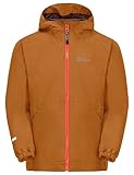 Jack Wolfskin Unisex Kinder Iceland 3in1 Jacket, autumn leaves, 140 EU