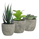 PAMINGONO 3 Stück Künstliche Sukkulenten Pflanzen Realistische Kunstpflanzen im Topf Dekorative Grüne Bonsai für Wohnzimmer Büro Fensterbank Pflegeleicht und Stilvoll