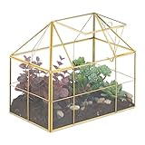 Relaxdays Pflanzenterrarium, Glas & Kupfer, HBT: 21x23x14 cm, Deko Glashaus Kakteen & Moos, Glaskasten Fensterbank, gold