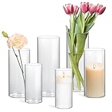 ComSaf Vase Glas, 6 Stück Glasvase, Kleine Vasen für Tischdeko, Glasvasen, Vase Groß, Glasvase Gross, Mini Vasen, Tulpenvase Glas Vase Hoch, Glasvase Zylinder, Glaszylinder für Flower, Kerze, Hochzeit