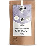 Kieselgur Pulver 750 g Beutel zur Nahrungsergäzung | Natürliche Kieselerde aus Kieselalgen | Hoher Gehalt an Kieselsäure | Diatomaceous earth | Laborgeprüfte Qualität aus Österreich