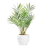 ZENIDA Künstliche Pflanzen, Areca künstliche Palme, Tropische hawaiianische grüne gefälschte Pflanze für Schlafzimmer, Büros, Gärten, Hochzeiten, Parteien, Dekorationen, 15,7 Zoll