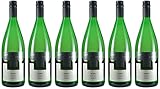 Eckes & Eckes Bacchus 'Terra' 2023 Lieblich Ecovin Bio (6 x 1.0 l)