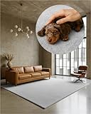 TEXMAXX Weicher Kurzflor Teppich Wohnzimmer mit rutschhemmender Rückseite (160 x 230 cm) - Modern für Flur, Esszimmer und als Schlafzimmer Teppich in Hell-Grau-Silber - Waschbar bis 30 Grad