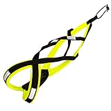 LASALINE Hunde Zuggeschirr X Back für Canicross Hundesport Dogscooter Bikejöring Schlitten in Schwarz Neongelb