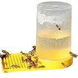 WANGCL 2 x Bienen-Trinkstation, Bienenfutterstation für Bienenstock, Bienenstock-Werkzeug für Bienenstöcke für Garten, Bienenstock für Imkerei