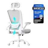 SONGMICS Bürostuhl ergonomisch, Drehstuhl mit Mesh, Lenden- und Kopfstütze, Wippfunktion, 53 cm große Sitzfläche, klappbare Armlehnen, Arbeits- und Schlafzimmer, Studenten, Taubengrau OBN047G01