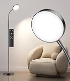 Ehaho Tageslichtlampe Stehlampe Schwarz | Dimmbar Stehlampe Wohnzimmer | Warmweiss Neutralweiss Kaltweiss | 12W Stehlampe Leselampe mit Fernbedienung für Schlafzimmer, Wohnzimmer, Büro