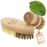 HOFMEISTER® Bürstenset aus Pilzbürste & Gemüsebürste – zur sanften Reinigung von Champignons und Gemüse, aus weichem Rosshaar, Fibre & Union und Buchenholz