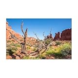 AKDJGFP Aquarium Rückwand Aquarium Hintergrund Aufkleber Wüste Poster Fisch Tank Dekoration Selbst Klebe Tapete Hintergrund(41x 122cm)