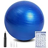 flintronic Gymnastikball, 65 cm Ultra-Dicker Anti-Explosions-Yoga-Ball mit aufblasbarer Fußpumpe, Robuster Maximalbelastbarkeit Fitness-Ball für Sport-Fitness, Yoga, Pilates