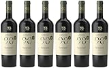 Novantaceppi Primitivo Puglia IGP 2022 Halbtrocken Bio (6 x 0.75 l)