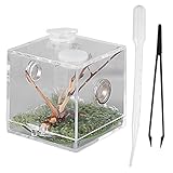 VILLCASE Springspinne Terrarium, Acryl Spinnen Terrarium Transparent Reptilien-Zuchtbox Schnecken Terrarium Reptile Fütterungsbox mit Pipette Zange für Spinnen, Crickets, Heuschrecken