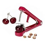 Metaltex 250658 Kirschentsteiner Lady Kirsch, Rot