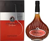 Janneau Napoleon Grand Armagnac 40% Vol. 0,7l in Geschenkbox