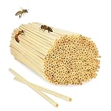 SHUOHONG 500 Stück Wildbienen Nisthilfe, Hochwertiges Insektenhotel, Zubehör für Insektenhaus, Nisthilfe zum AufhäNgen, für Bienenhotel, Wildbienenhaus, Marienkäfer, Florfliegen, Schmetterlinge
